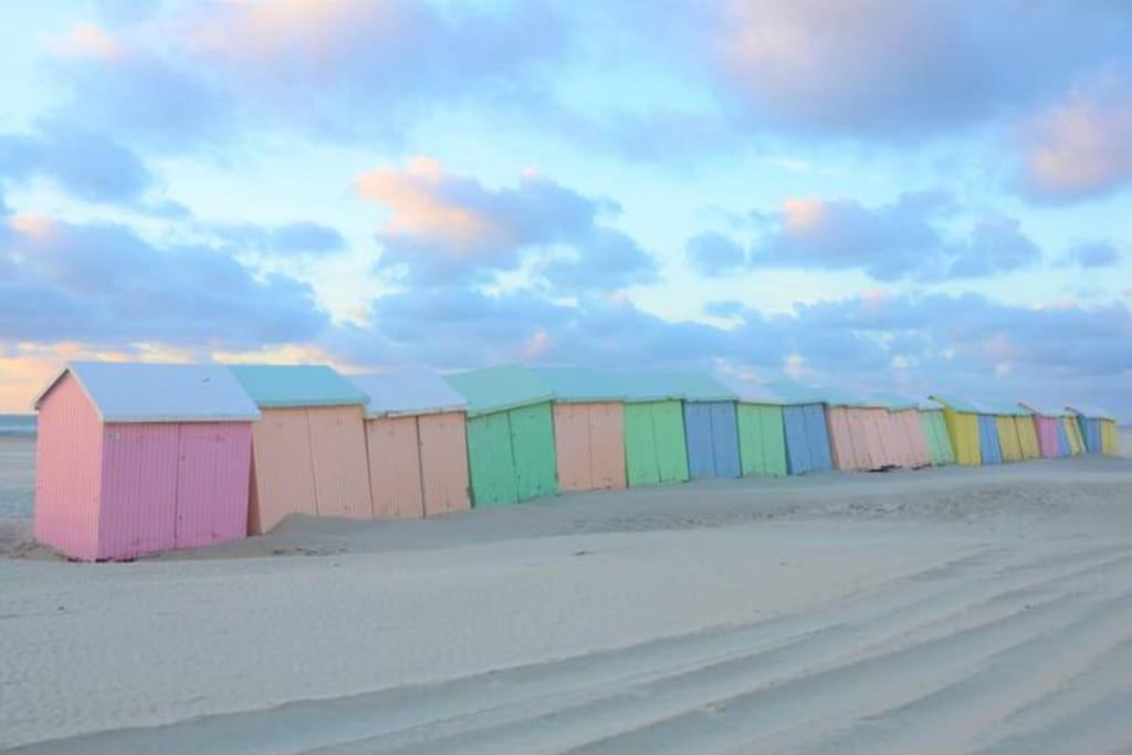 Apartament Cozy D'Opale Charmant T1 Bord De Mer Cour Privee Et Clot Wifi 3 Pers Animaux Acceptes Gratuit Berck Zewnętrze zdjęcie